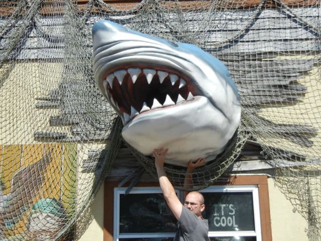Man lifts shark.