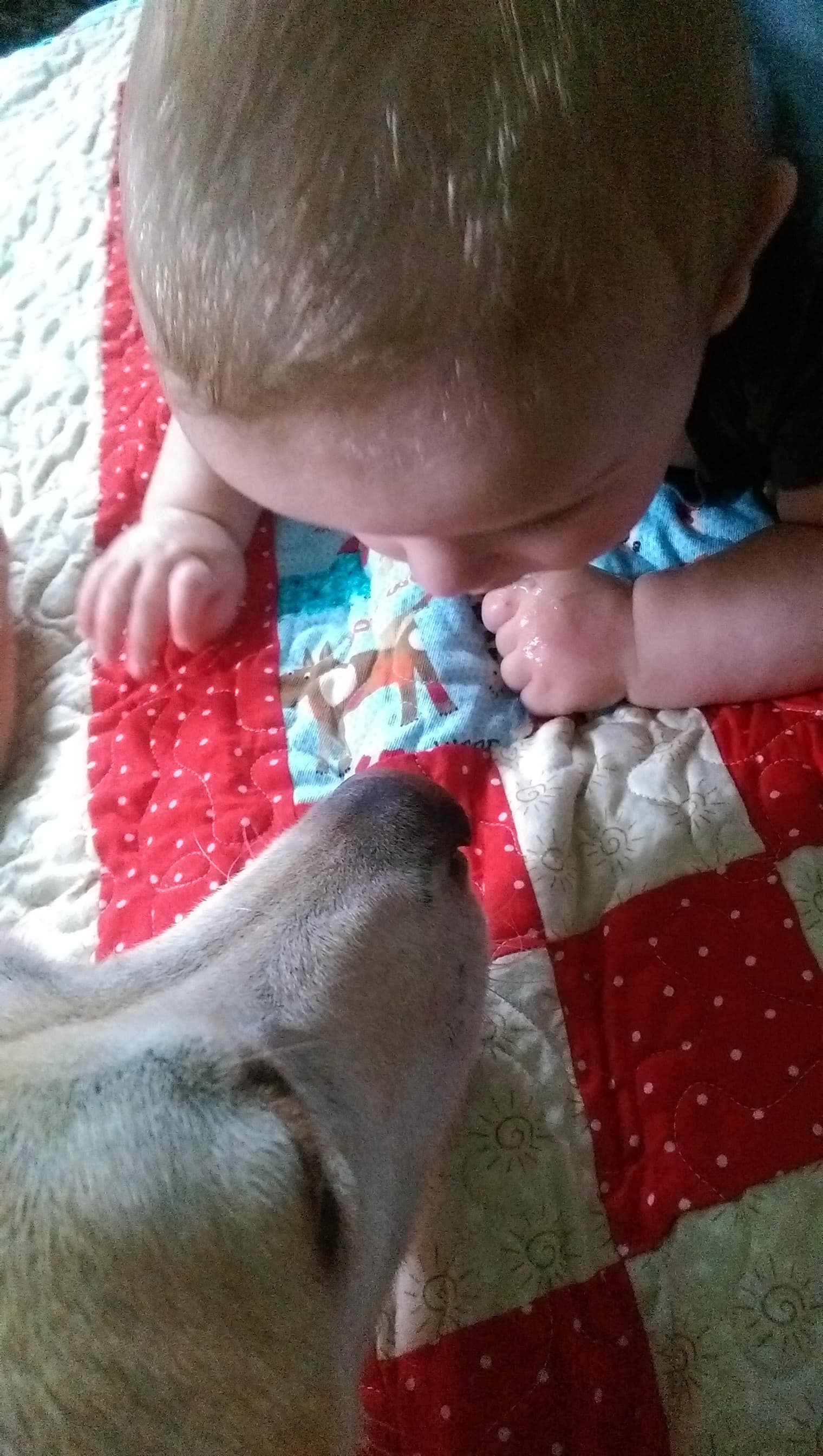 A boy and his dog.