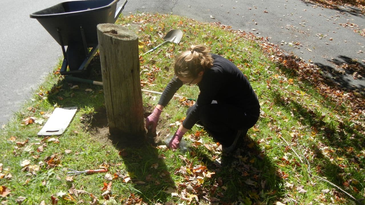 Planting Bulbs