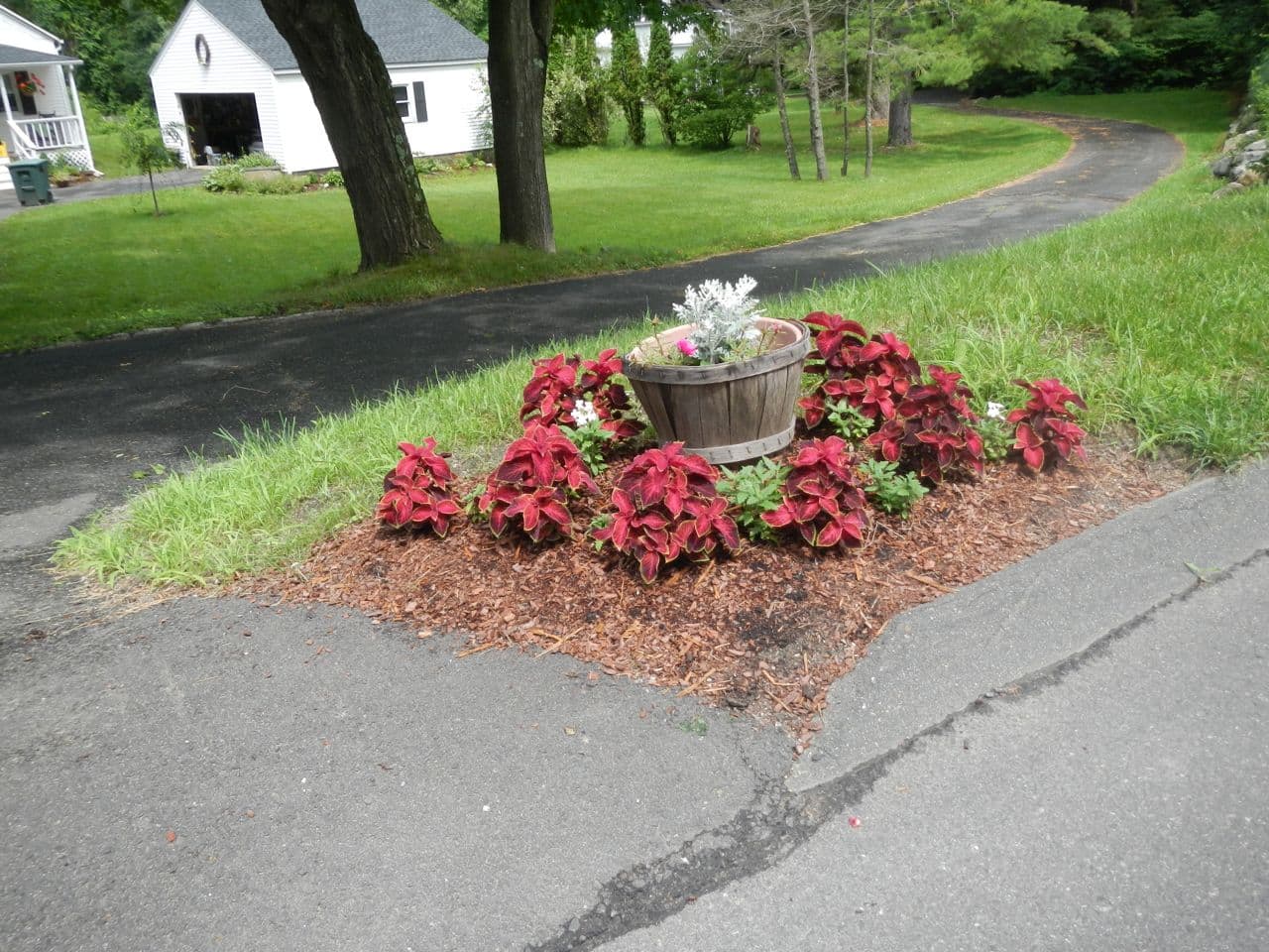 A lil’ old fashion curb appeal.