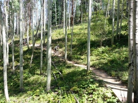 Vail Mountain Biking