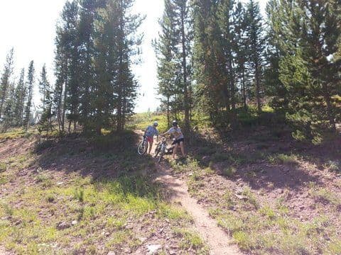 Vail Mountain Biking