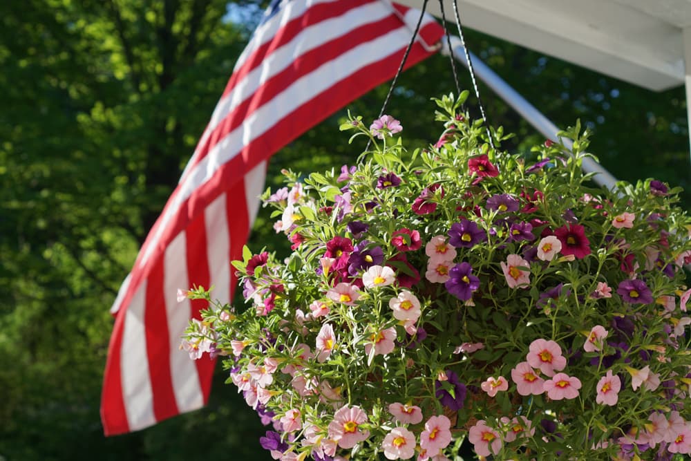 Beautiful Hanging Basket