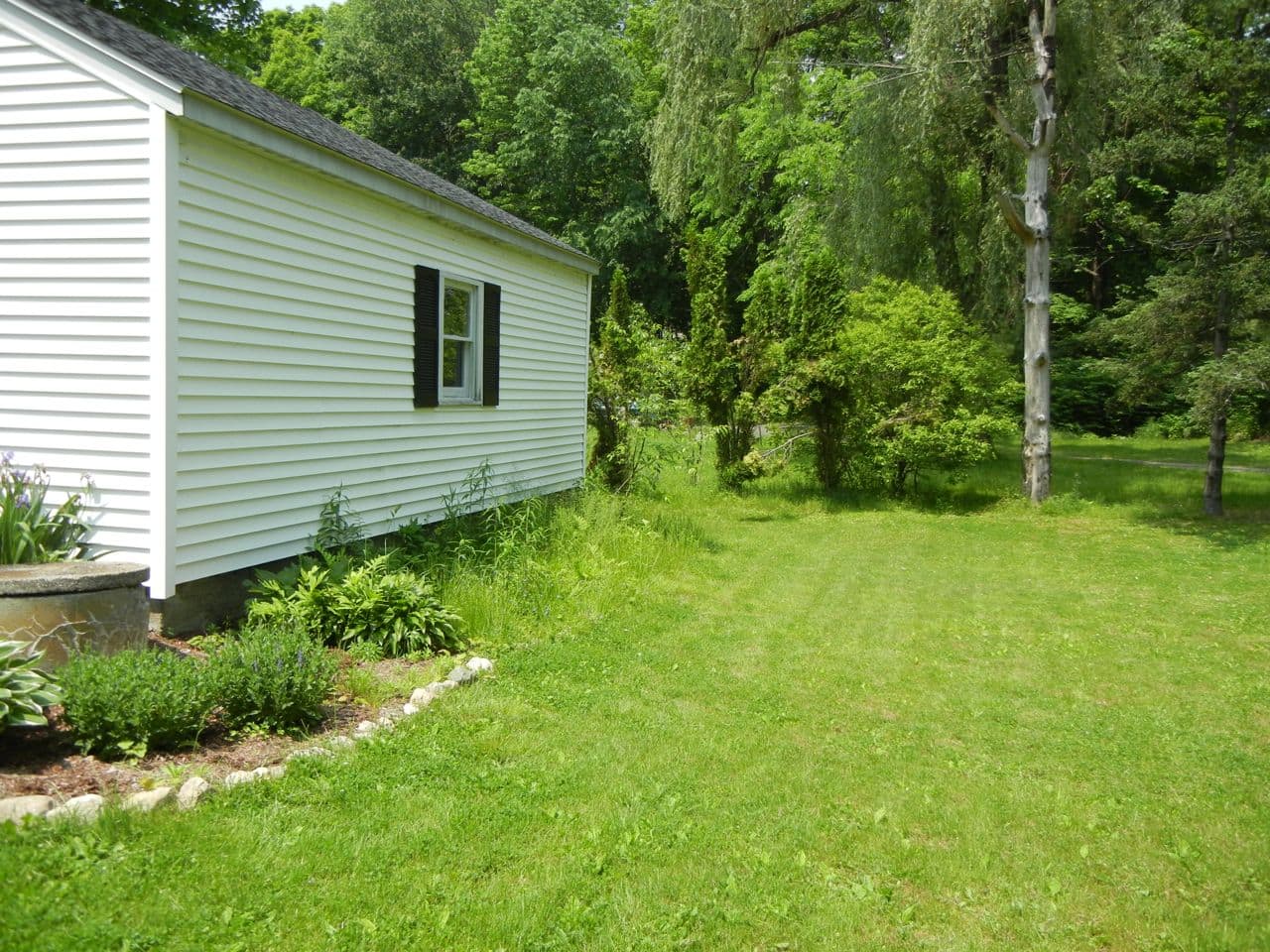 Garage garden overhaul