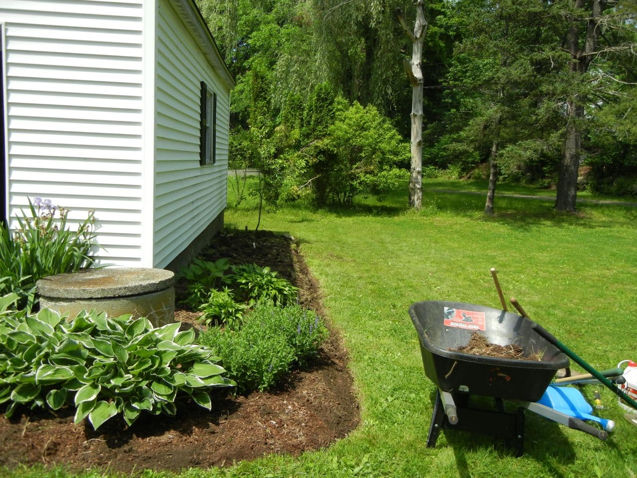 Garage garden overhaul