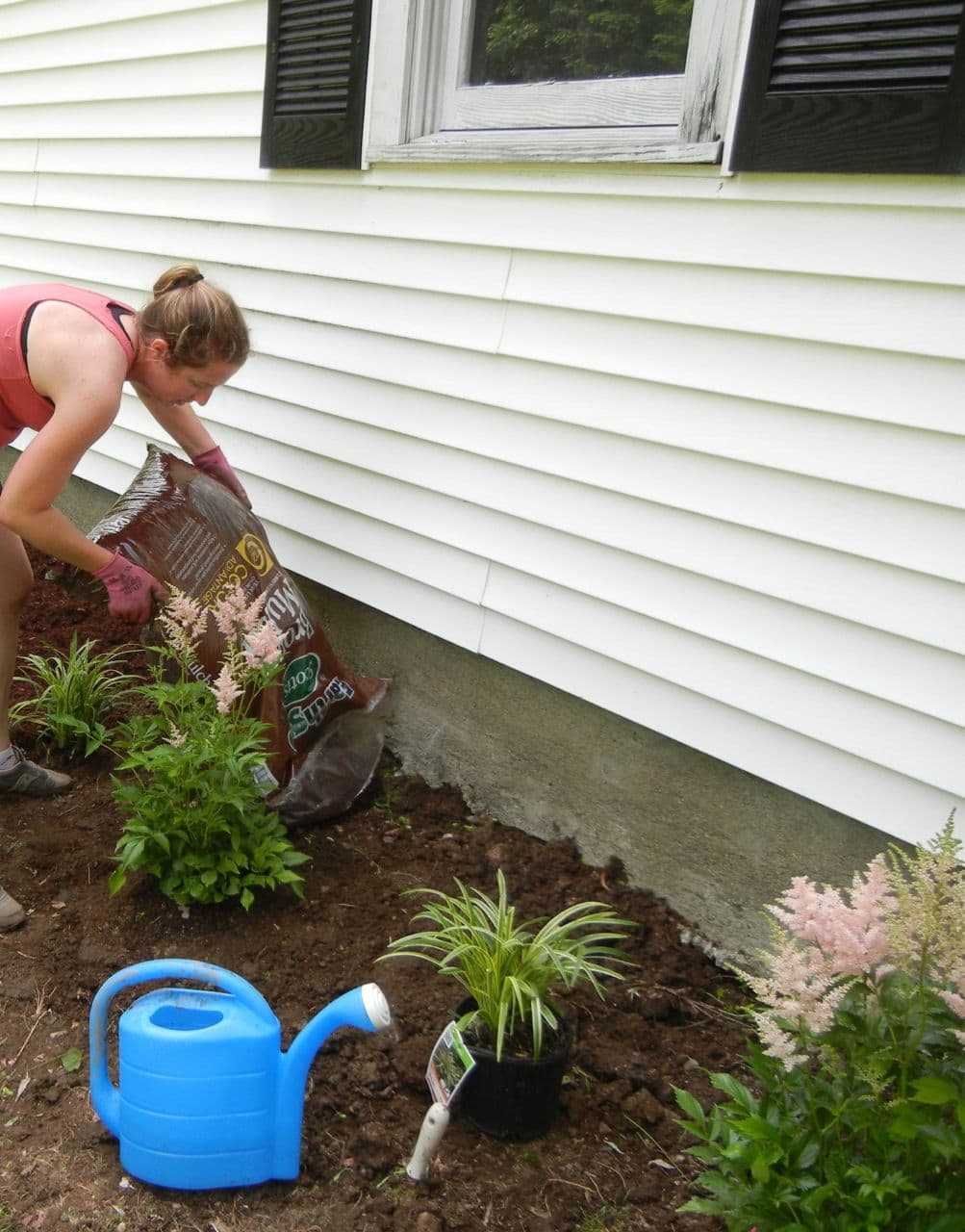 Garage garden overhaul