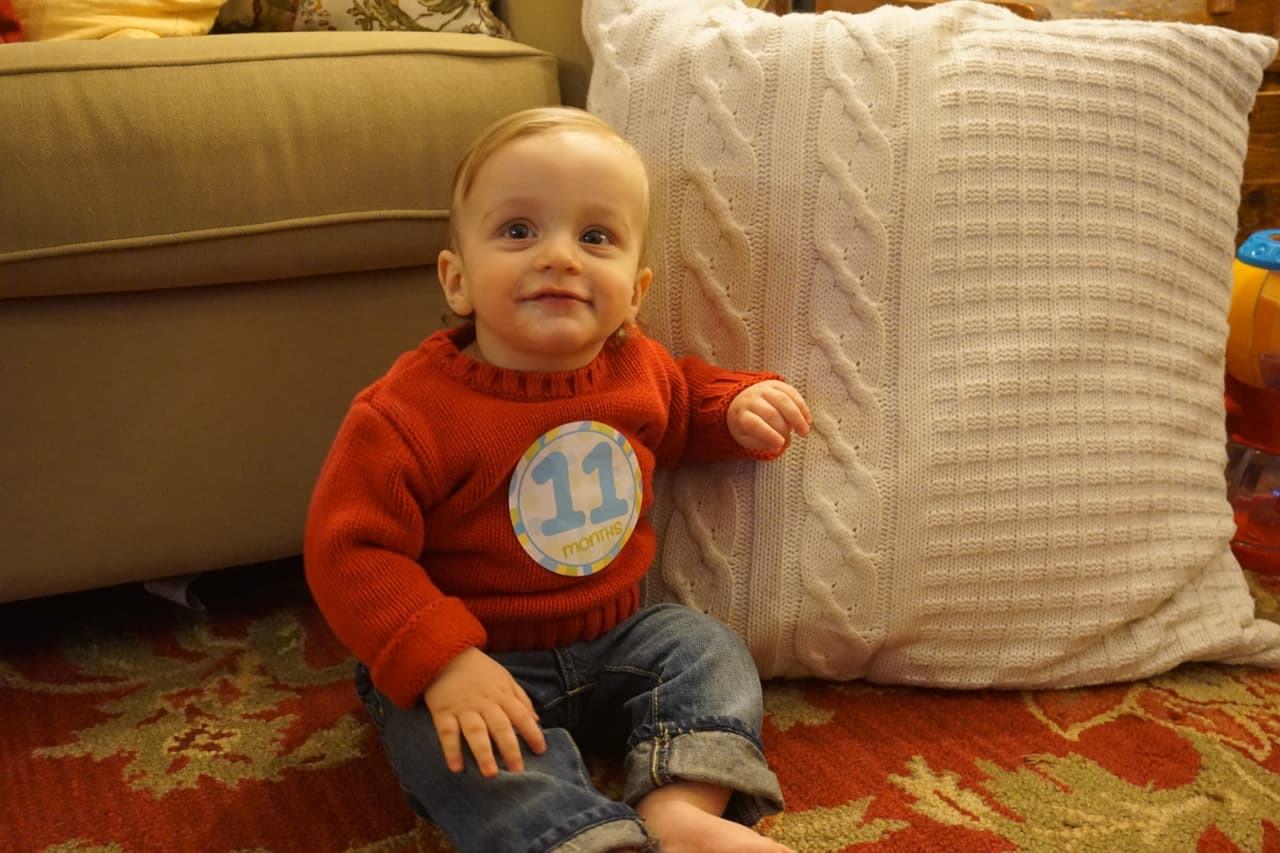 11-month Harrison