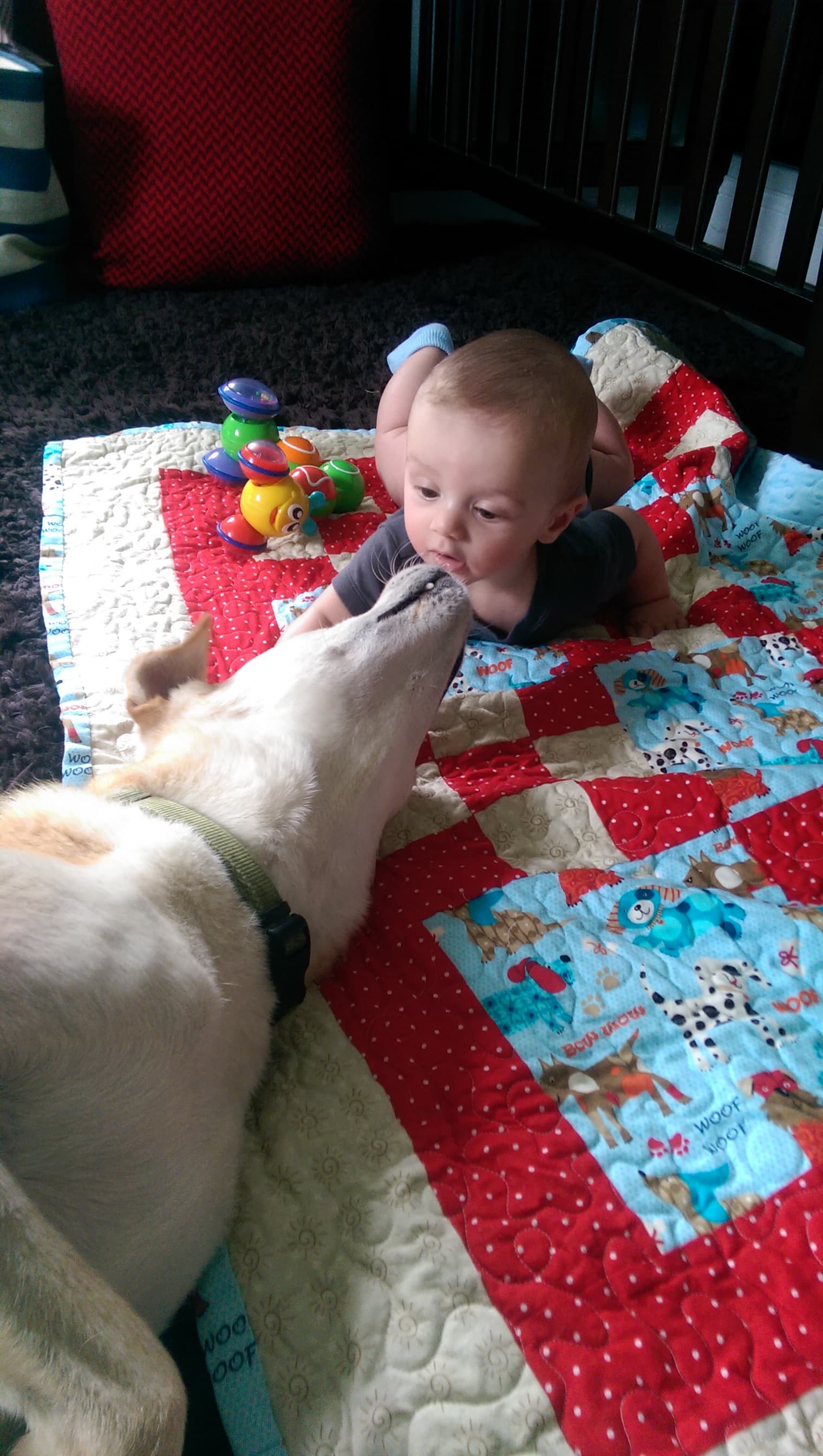 A boy and his dog.