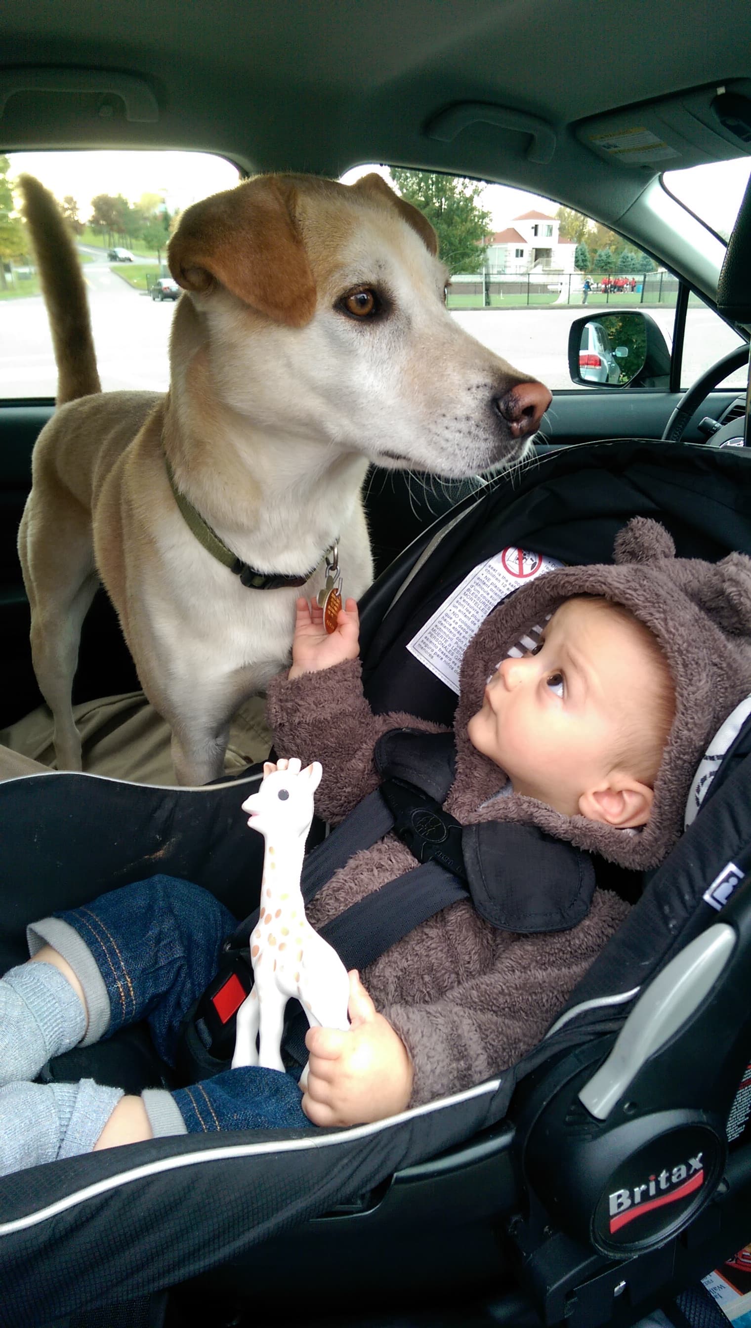 A boy and his dog.