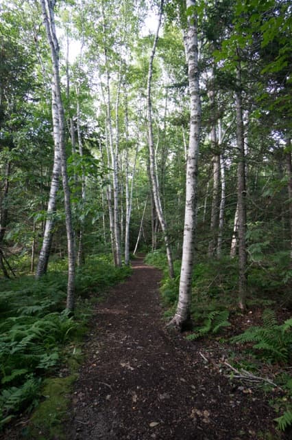 Mid Coast Maine