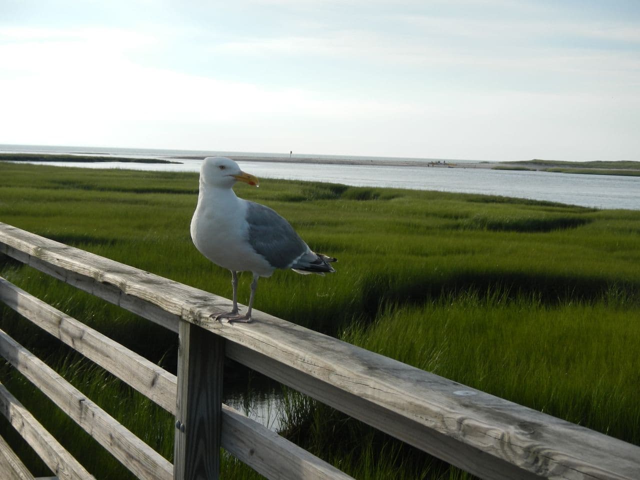 Gray’s Beach Boardwalk