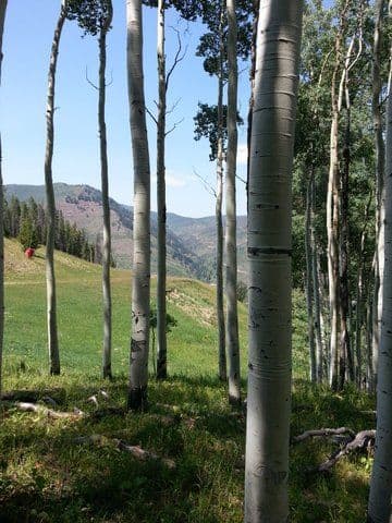 Vail Mountain Biking