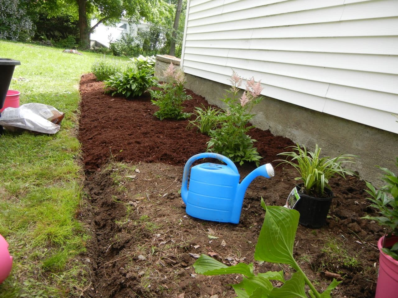 Garage garden overhaul