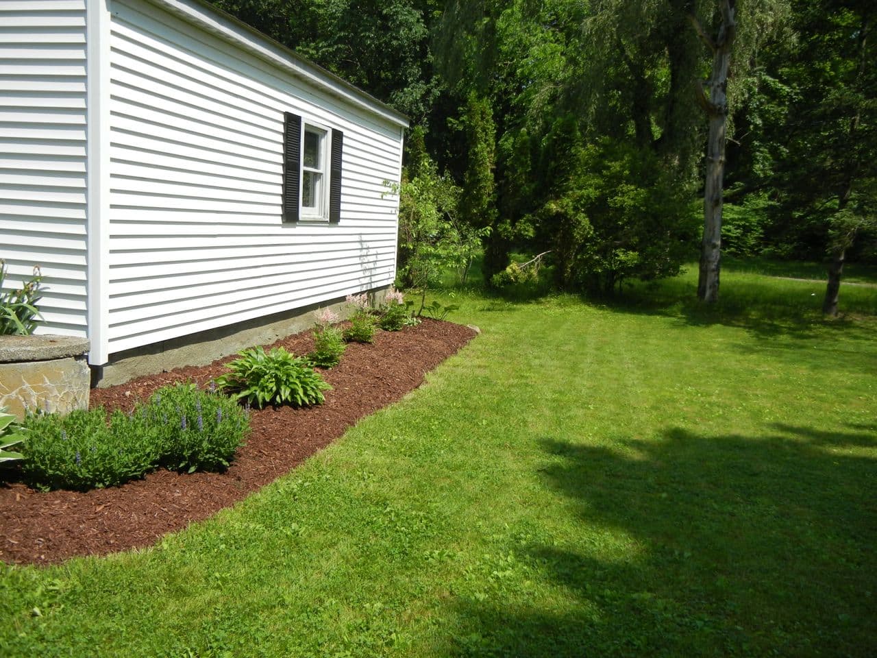 Garage garden overhaul