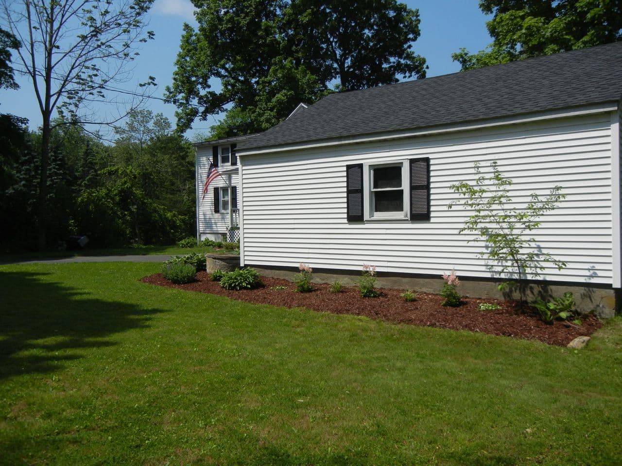 Garage garden overhaul