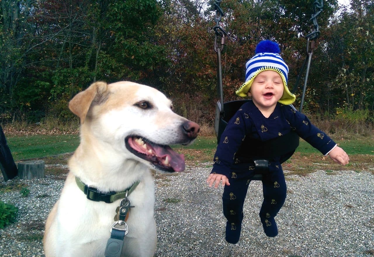 Baby on Swings!