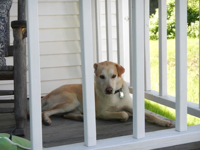 New Front Porch Steps