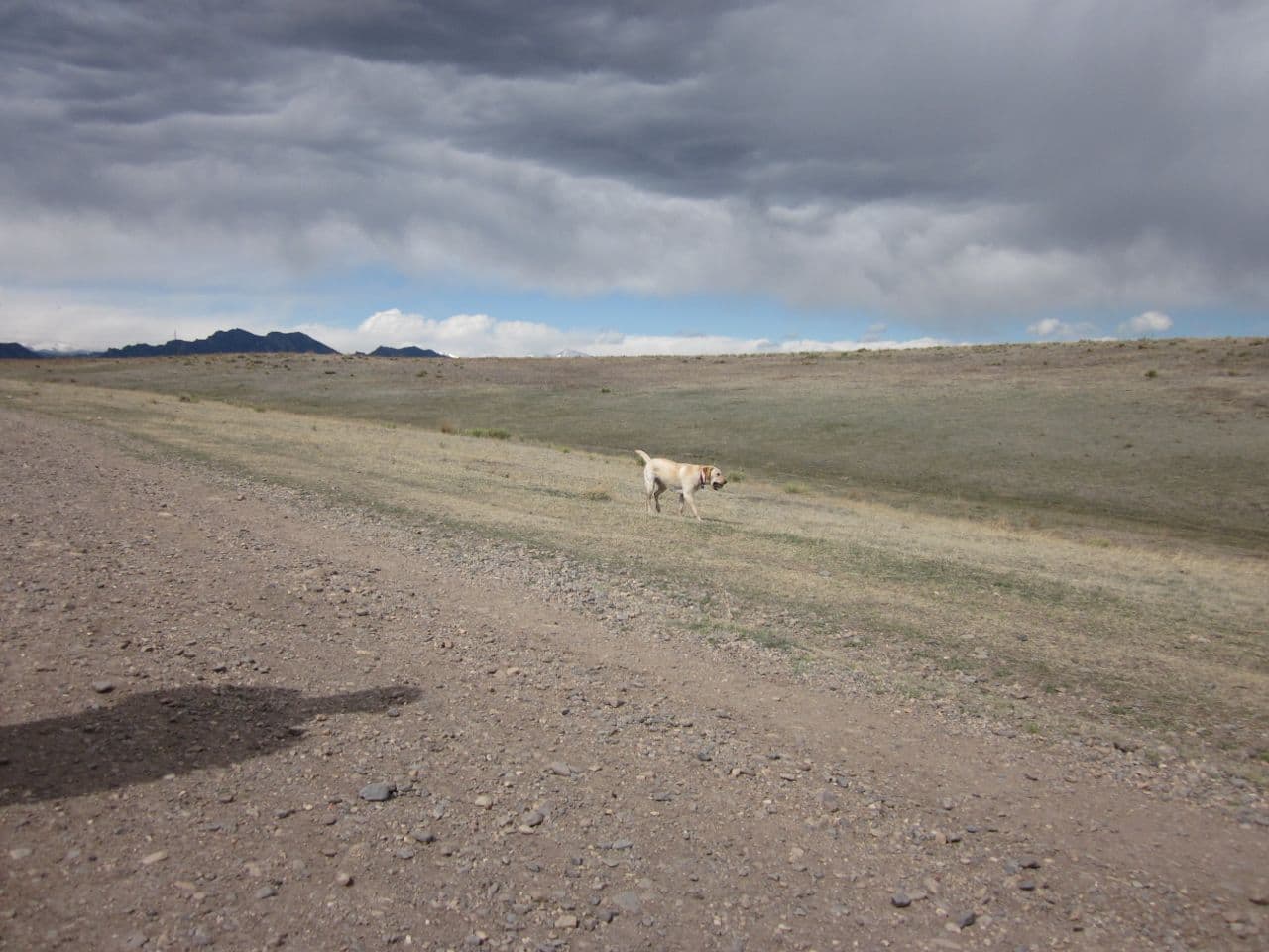 Westminster Hills Dog Park