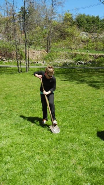 We Planted A Tree